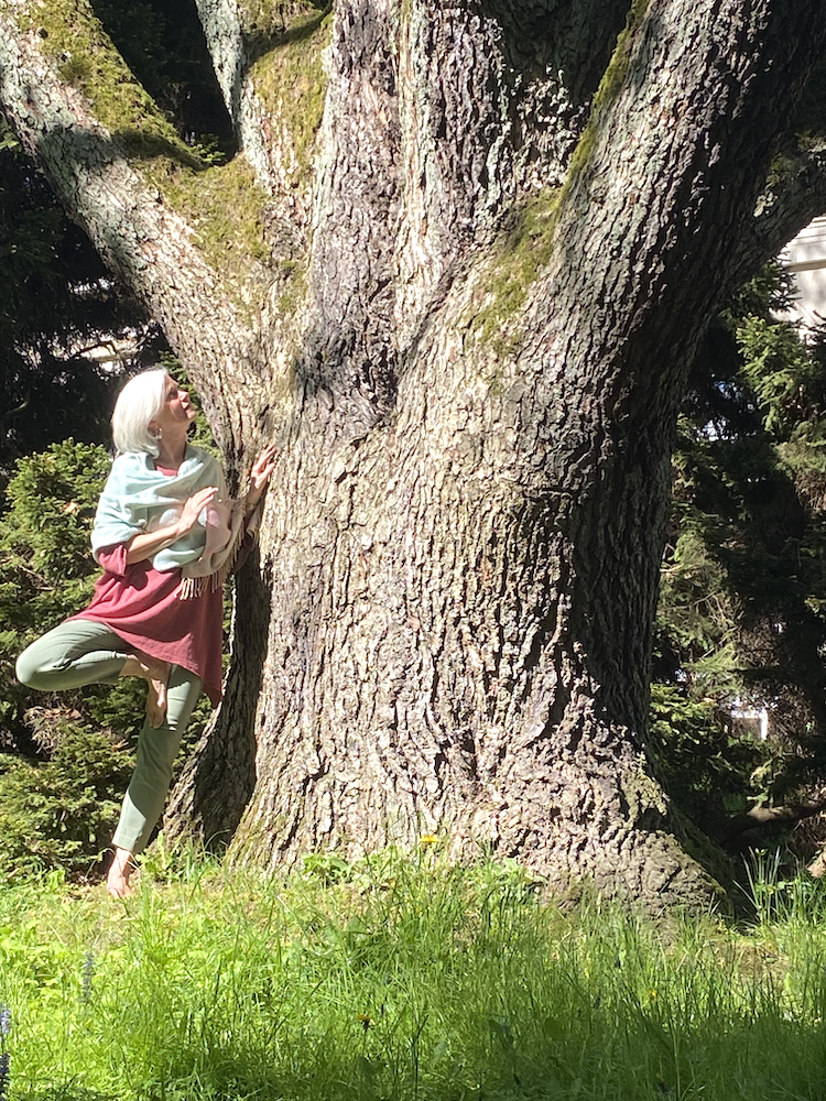 Die Yogaübung „Baum“