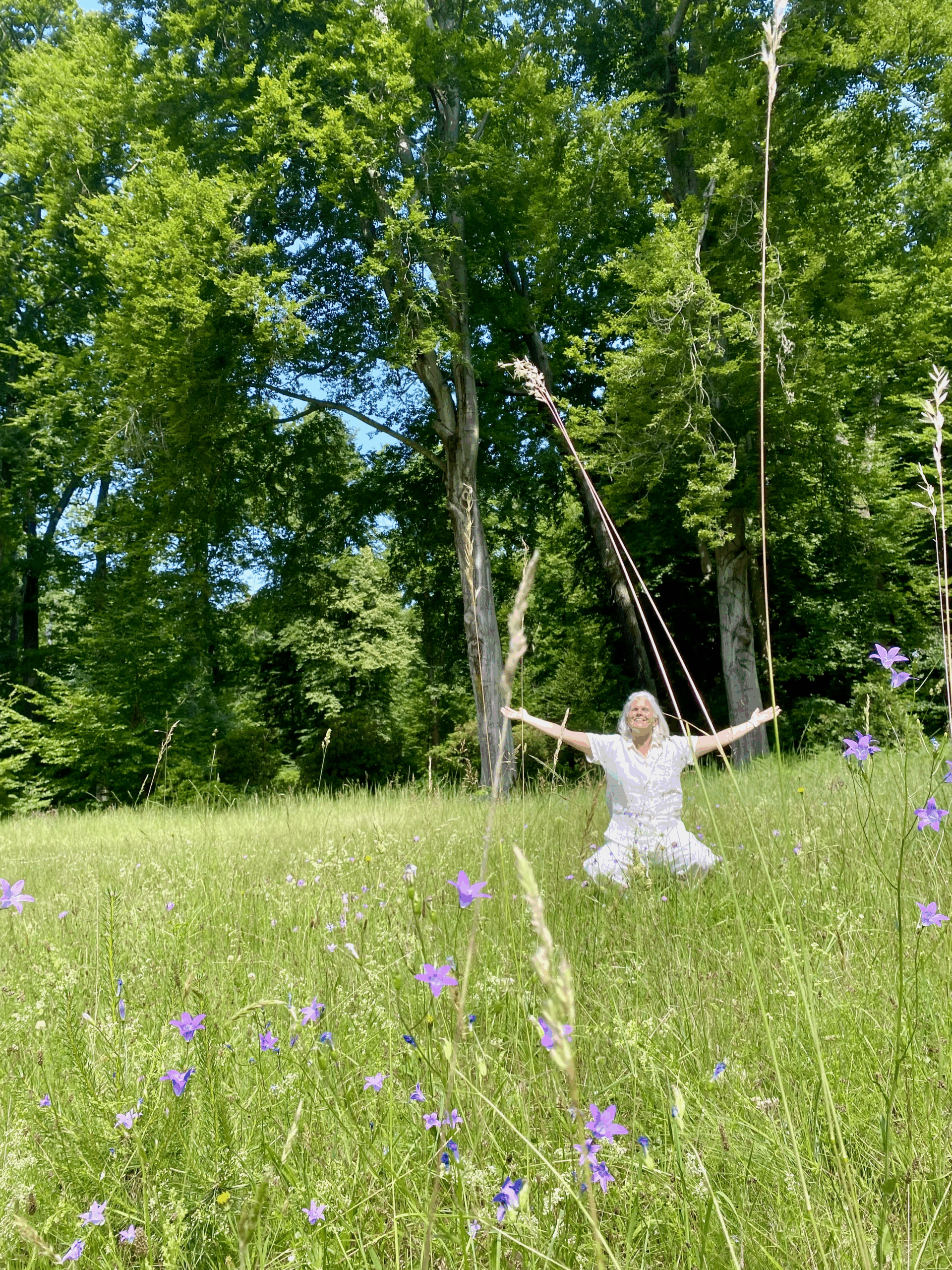 Yoga im Wald
